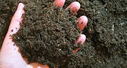 堆肥發(fā)酵利用什么方式